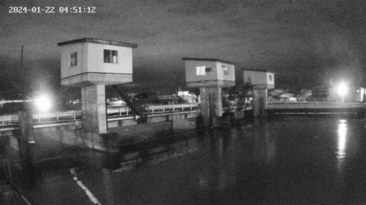 area1-20240122045112.jpg