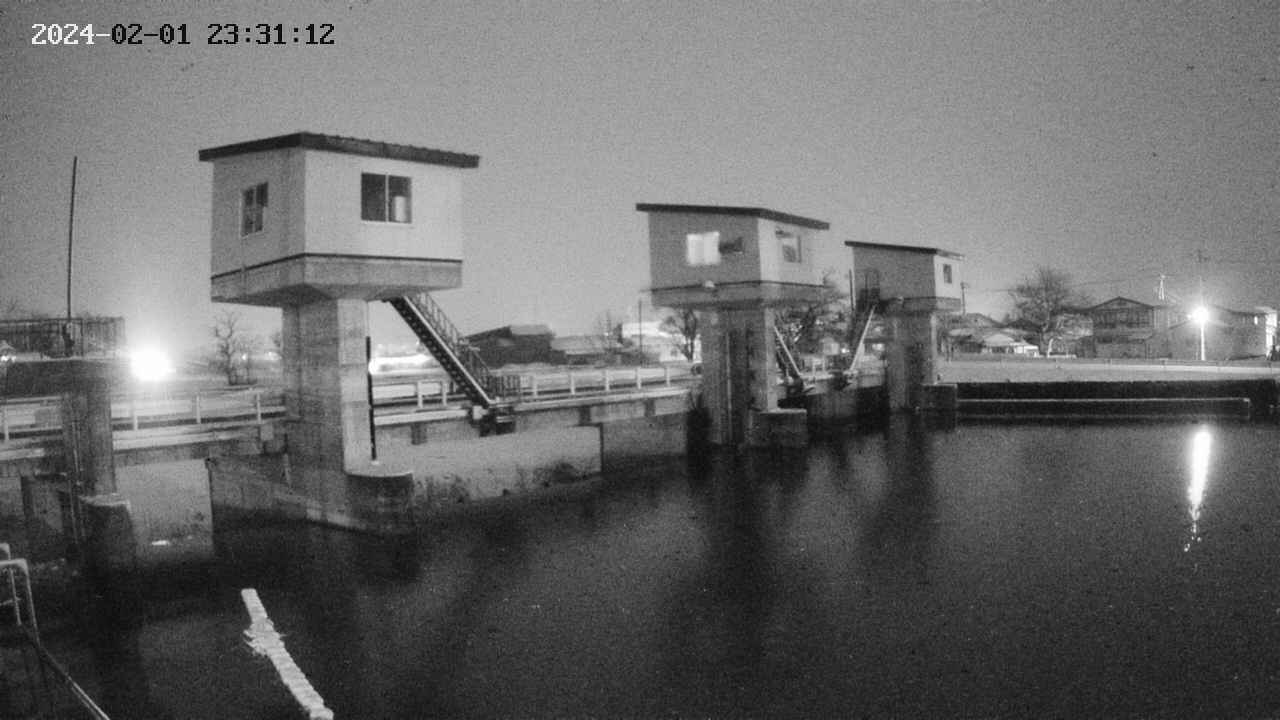 area1-20240201233112.jpg