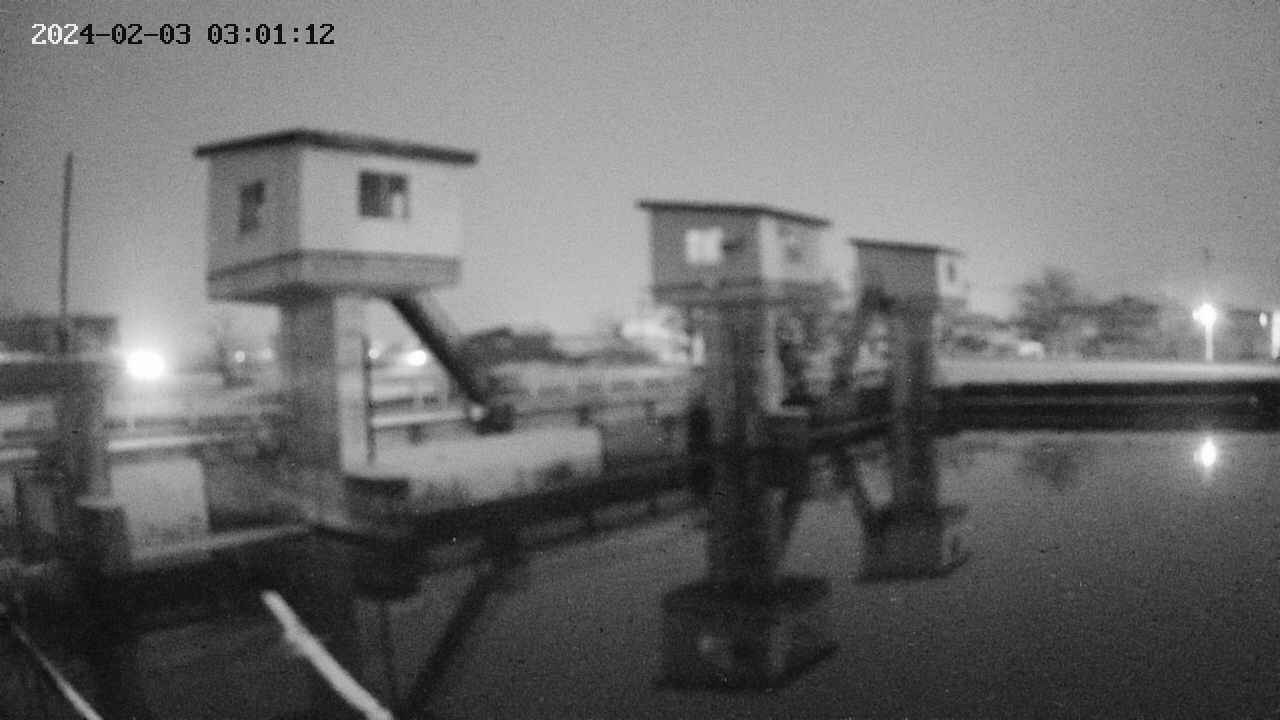 area1-20240203030112.jpg
