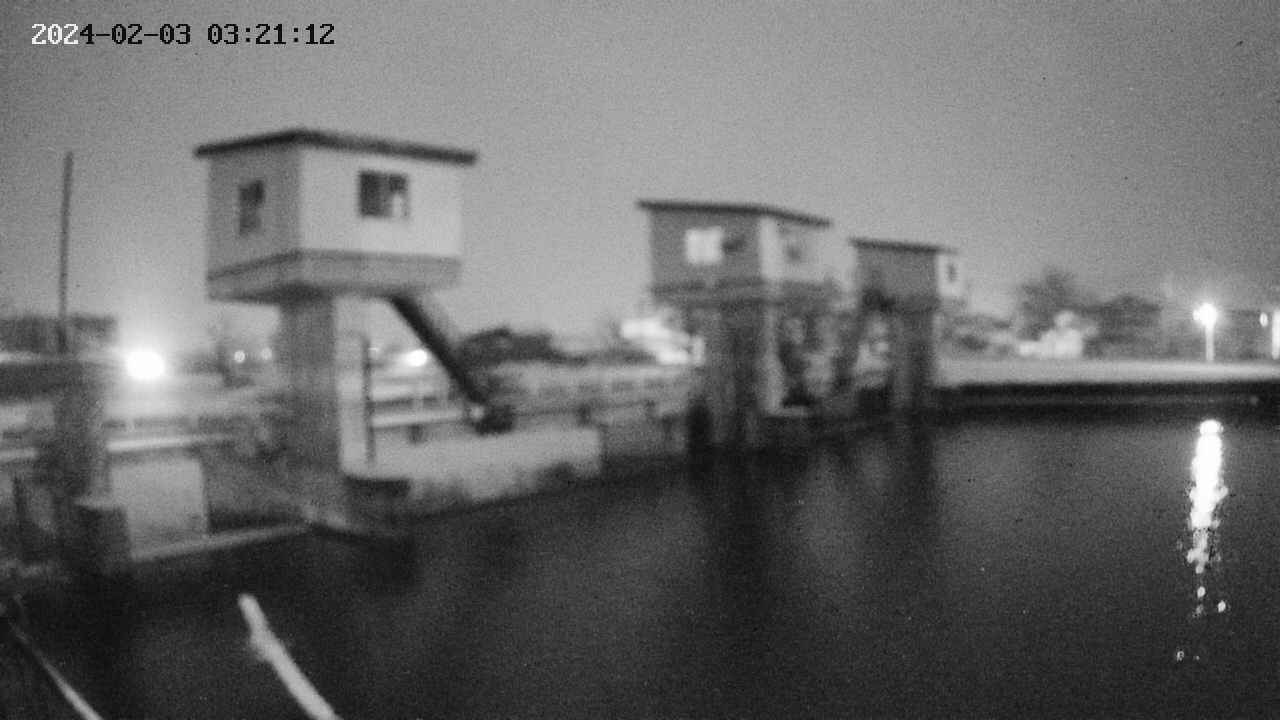 area1-20240203032113.jpg