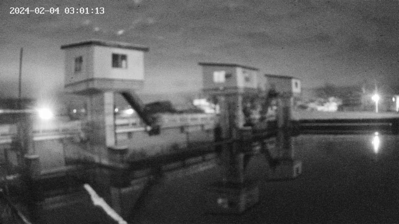 area1-20240204030113.jpg