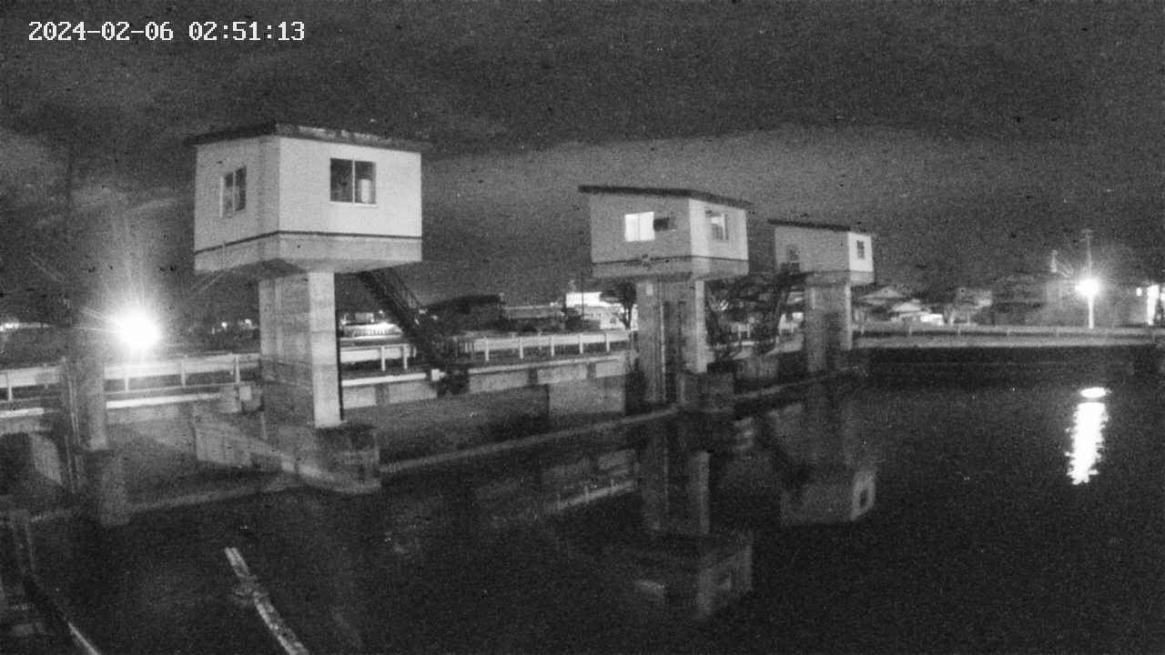 area1-20240206025113.jpg