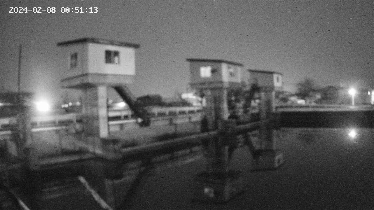 area1-20240208005113.jpg