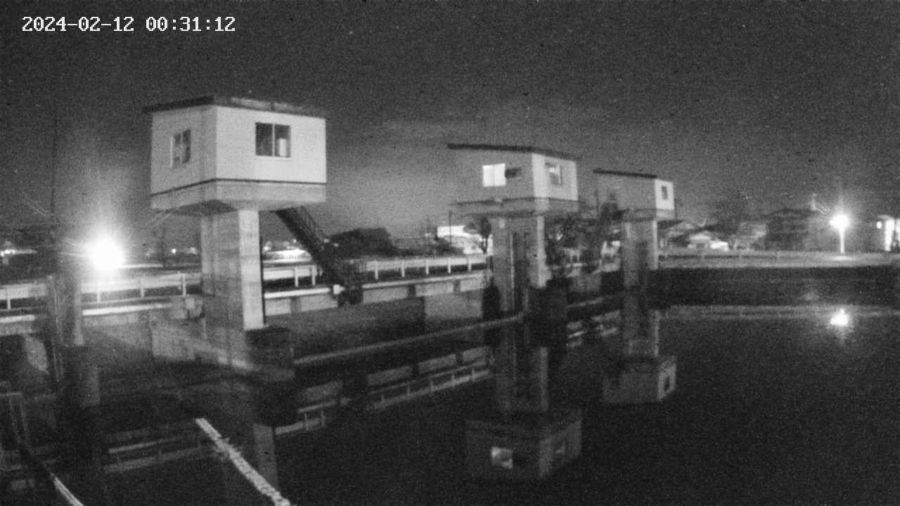 area1-20240212003113.jpg
