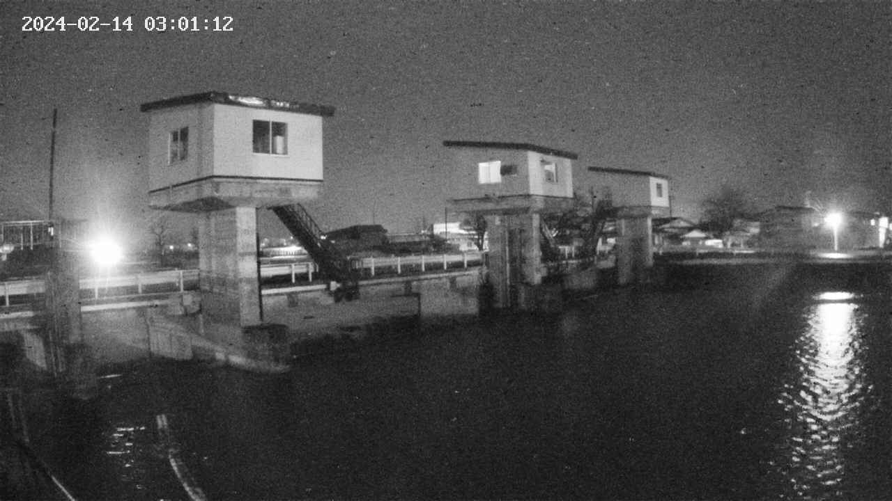area1-20240214030113.jpg
