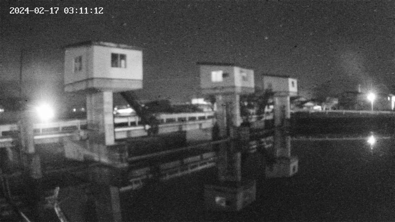 area1-20240217031112.jpg