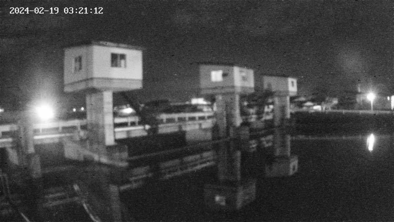 area1-20240219032113.jpg