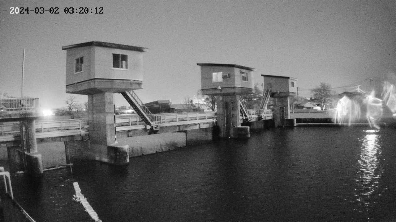 area1-20240302032012.jpg