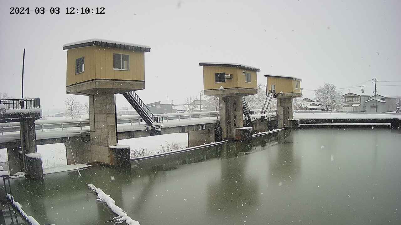 area1-20240303121013.jpg