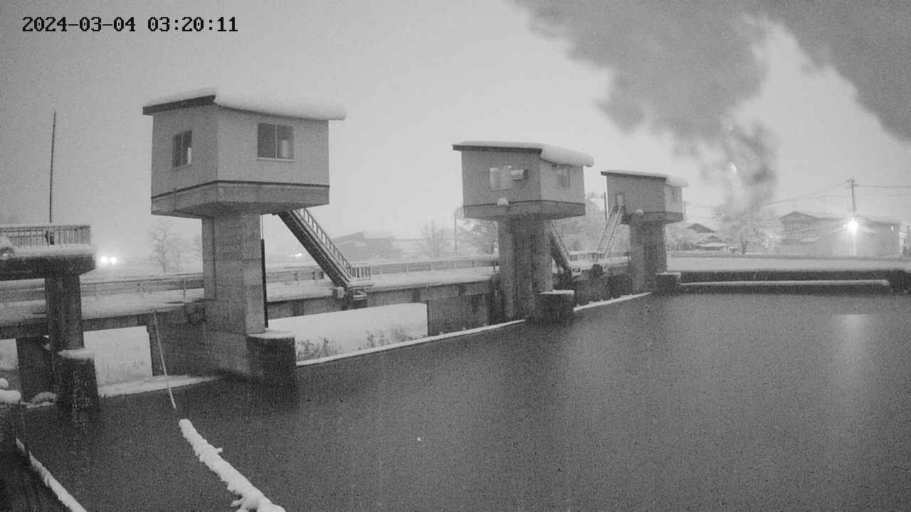 area1-20240304032012.jpg