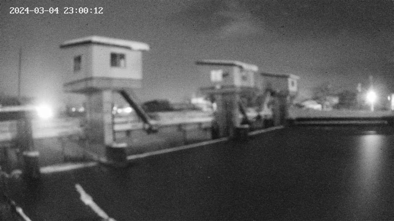 area1-20240304230013.jpg