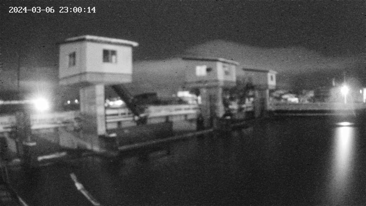 area1-20240306230015.jpg