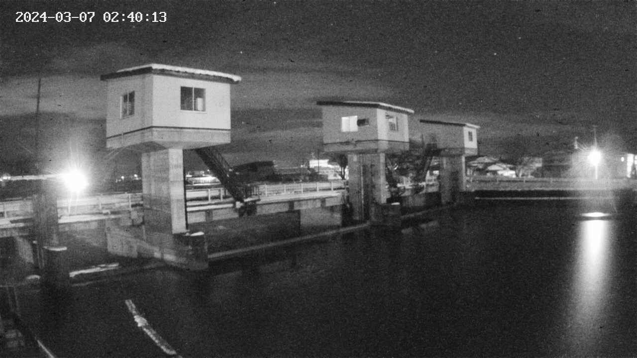 area1-20240307024014.jpg