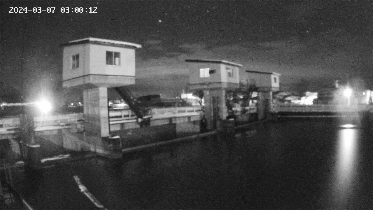 area1-20240307030012.jpg