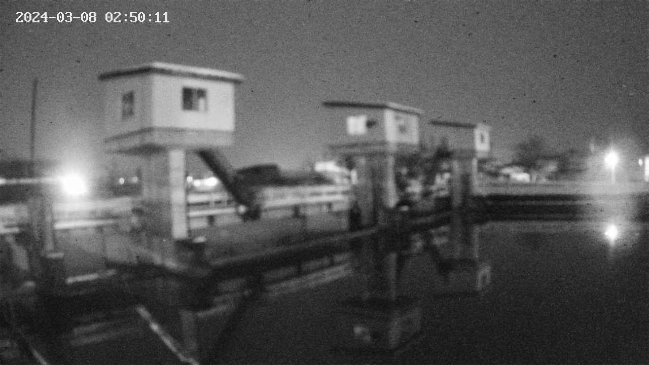 area1-20240308025012.jpg