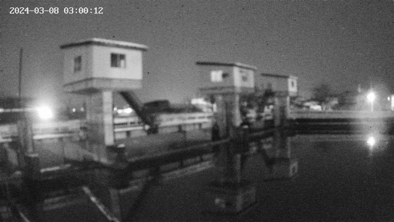 area1-20240308030013.jpg