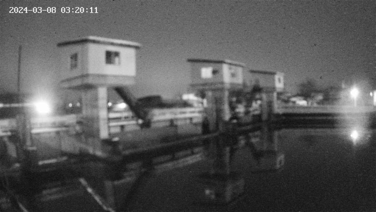 area1-20240308032012.jpg