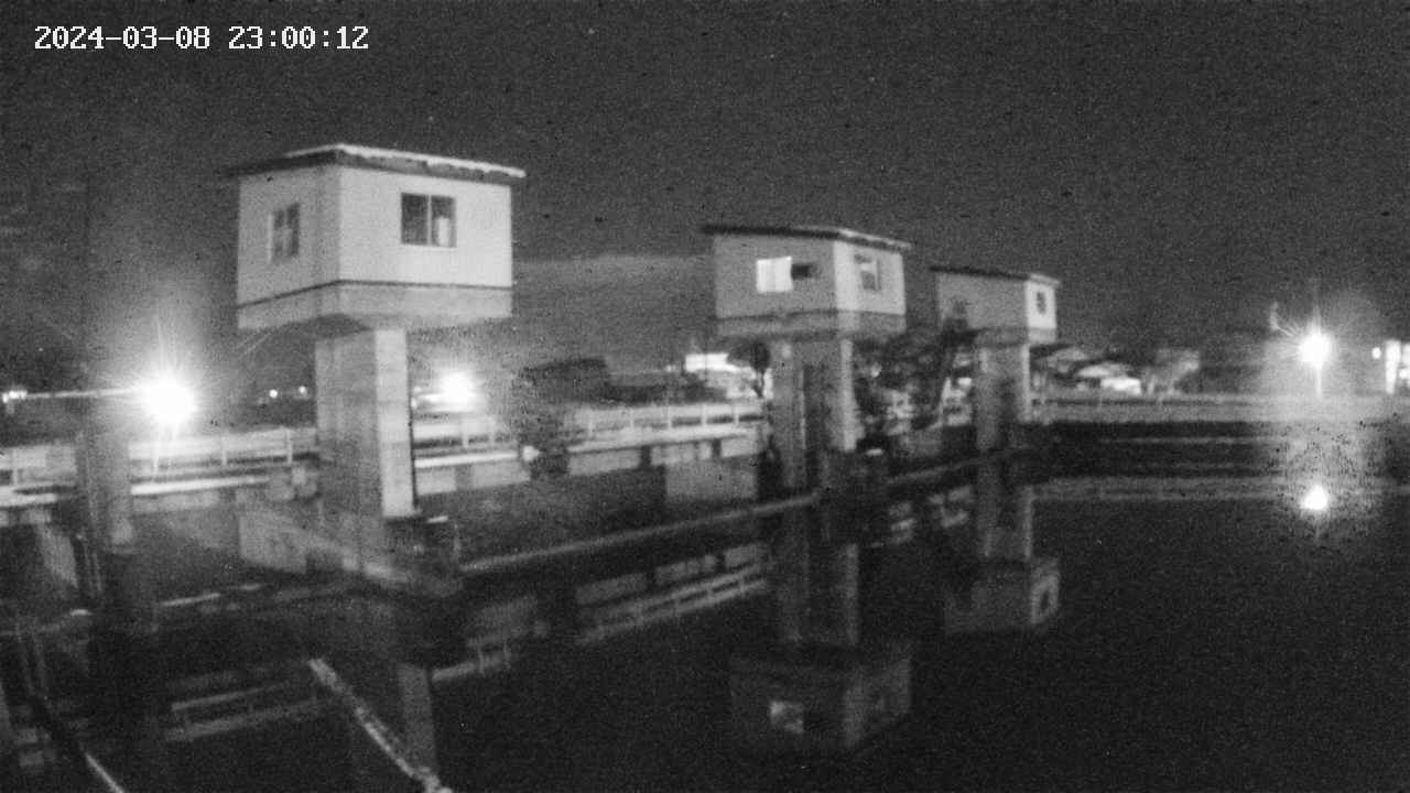 area1-20240308230013.jpg