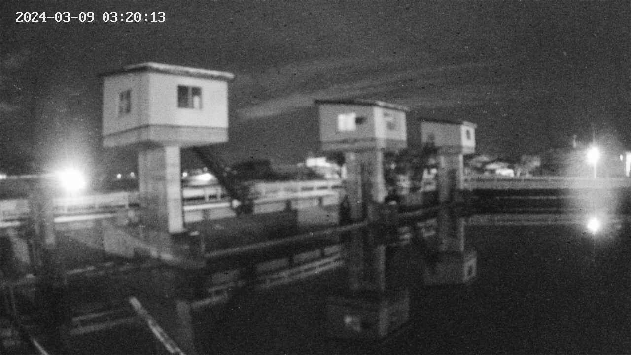 area1-20240309032014.jpg