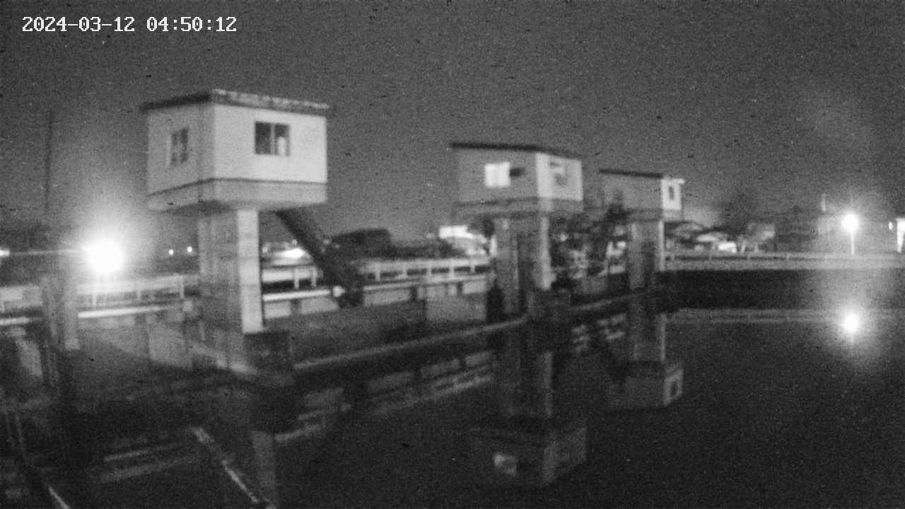 area1-20240312045013.jpg
