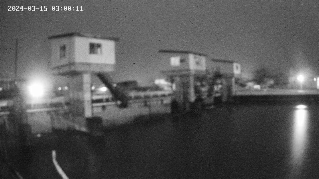 area1-20240315030013.jpg
