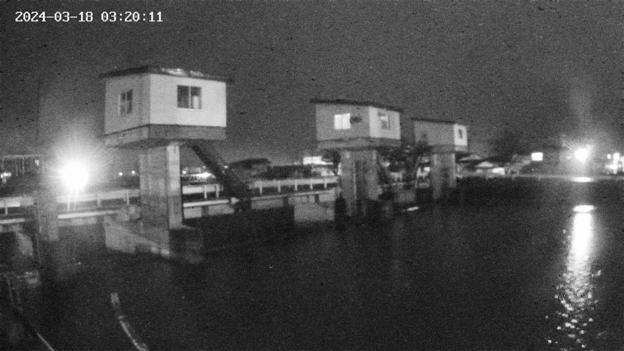 area1-20240318032012.jpg