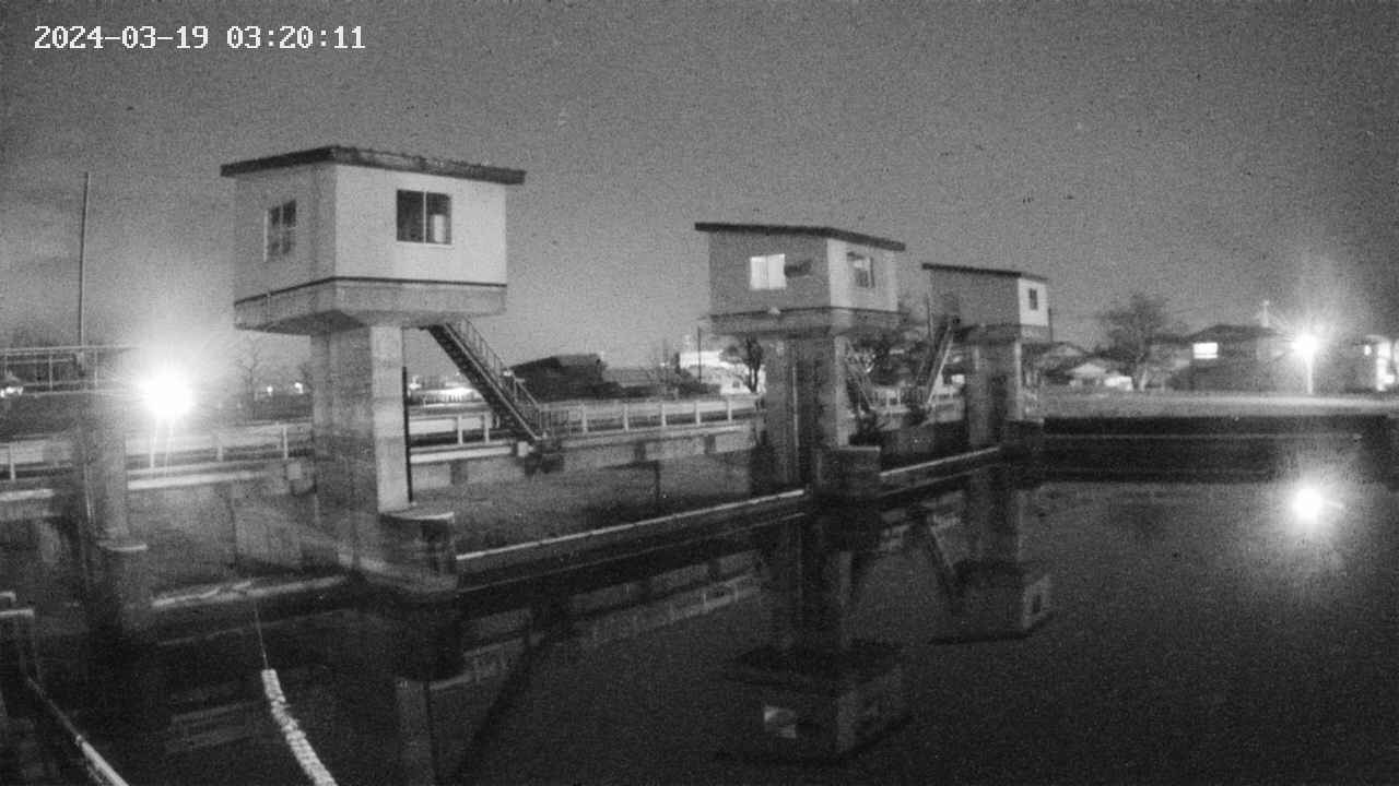 area1-20240319032012.jpg
