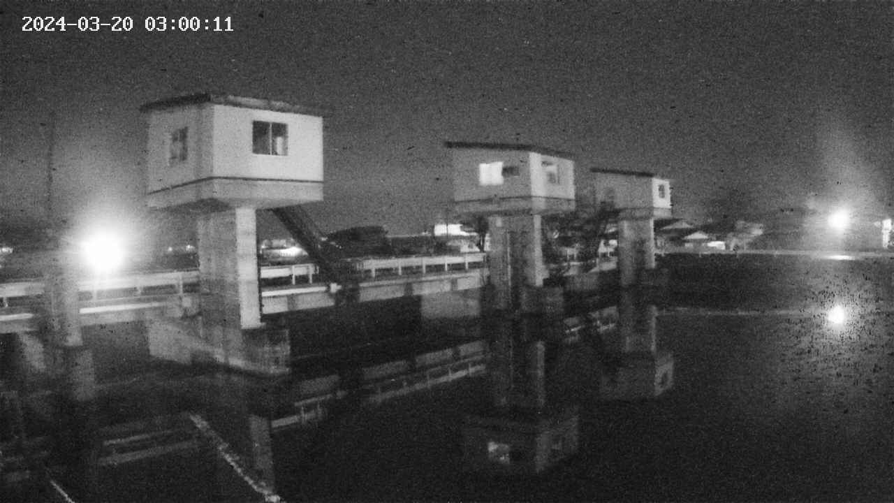 area1-20240320030012.jpg