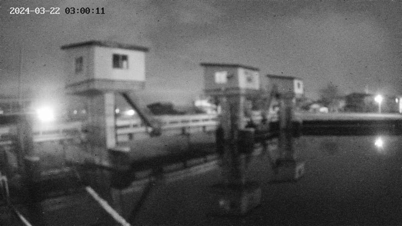 area1-20240322030012.jpg