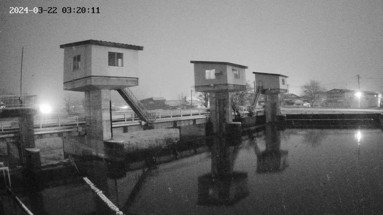area1-20240322032013.jpg