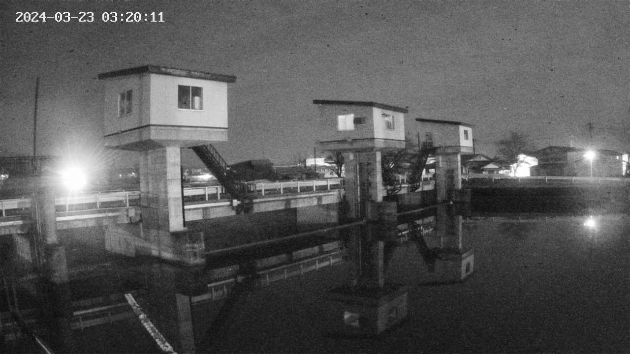 area1-20240323032013.jpg