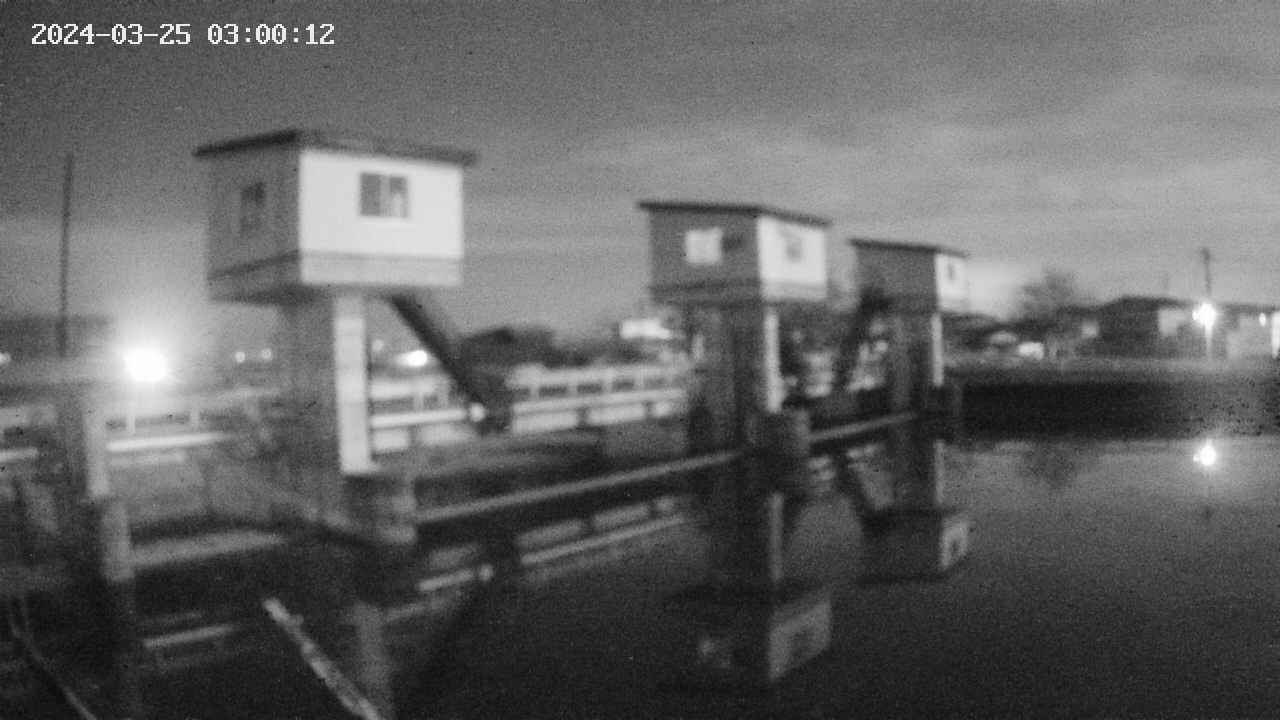 area1-20240325030013.jpg