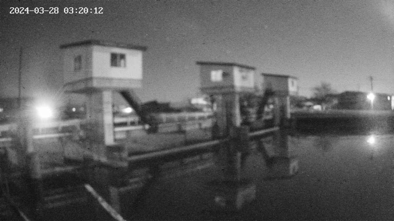area1-20240328032013.jpg