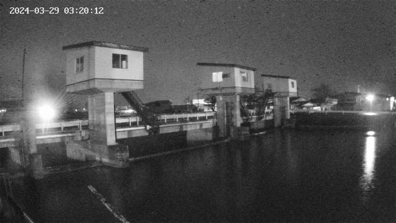 area1-20240329032013.jpg