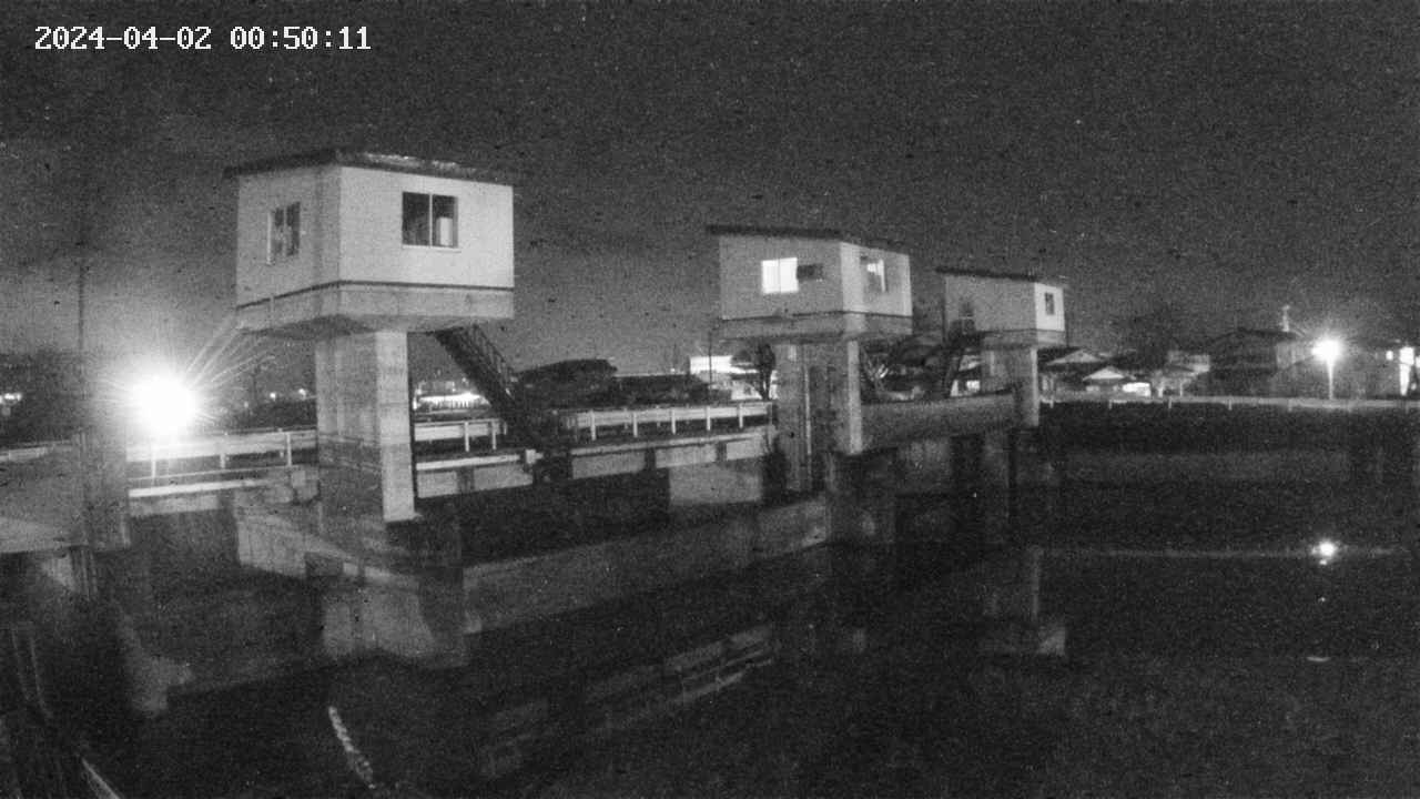 area1-20240402005012.jpg