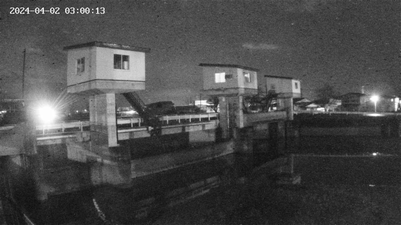 area1-20240402030014.jpg