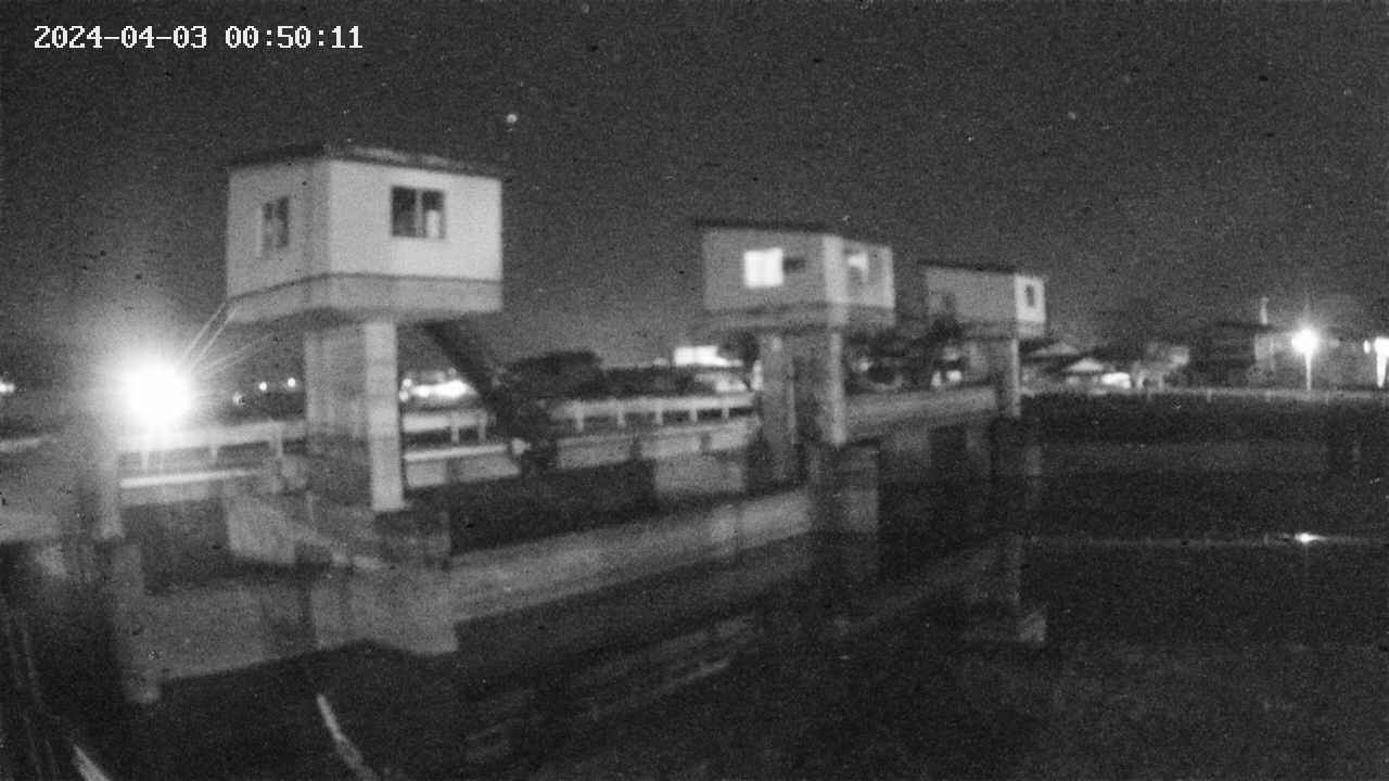 area1-20240403005013.jpg