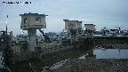 area1-20240404050013.jpg