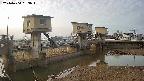 area1-20240404063013.jpg