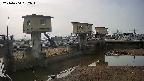 area1-20240404082013.jpg
