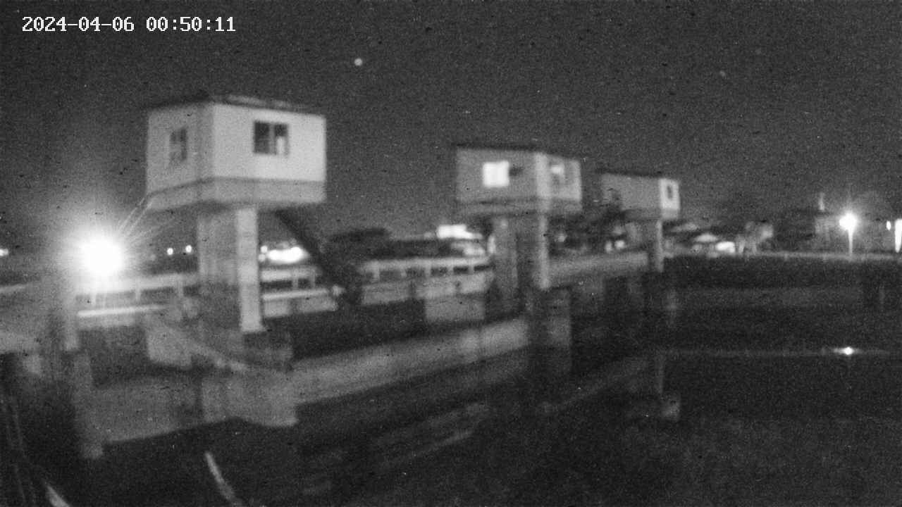 area1-20240406005012.jpg