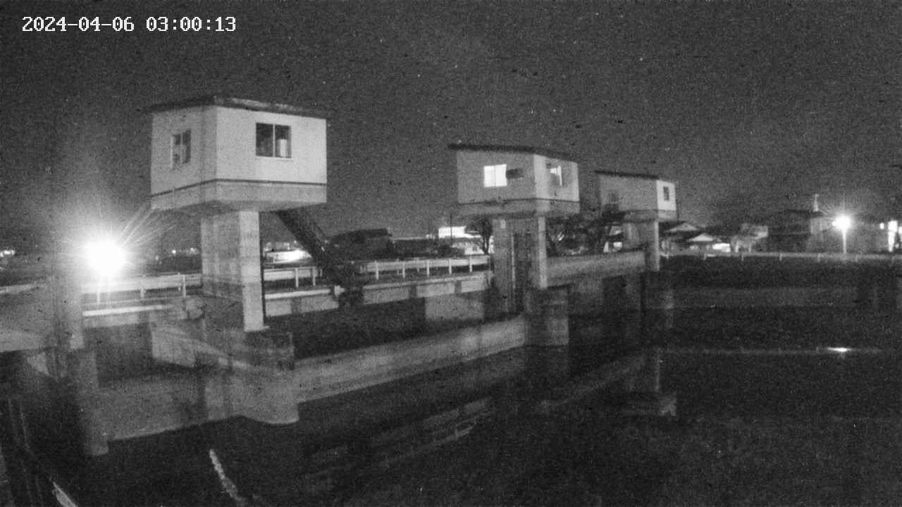 area1-20240406030013.jpg