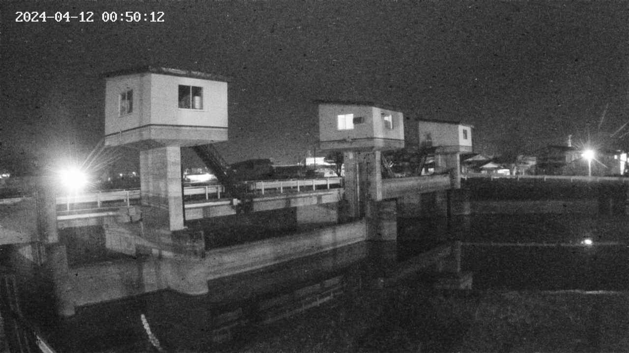 area1-20240412005013.jpg