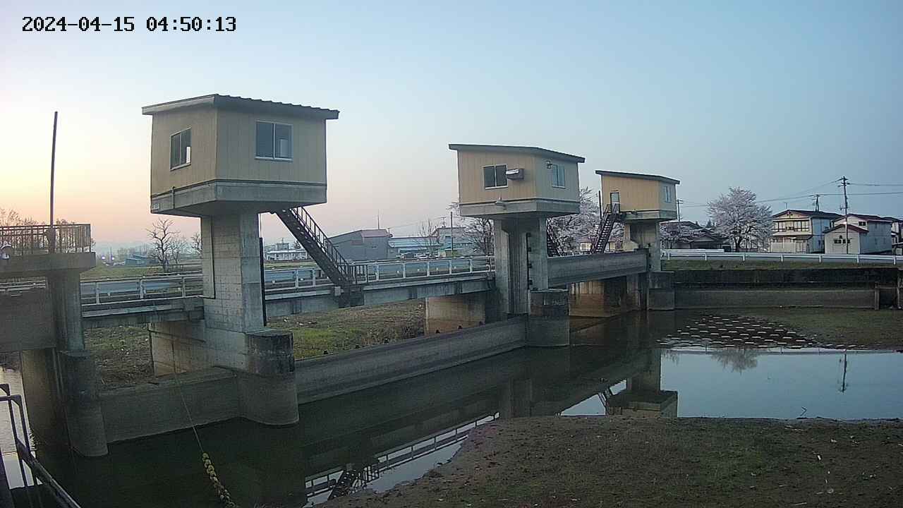 area1-20240415045013.jpg