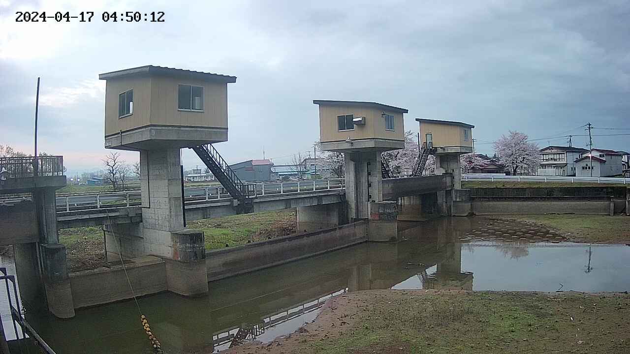 area1-20240417045013.jpg