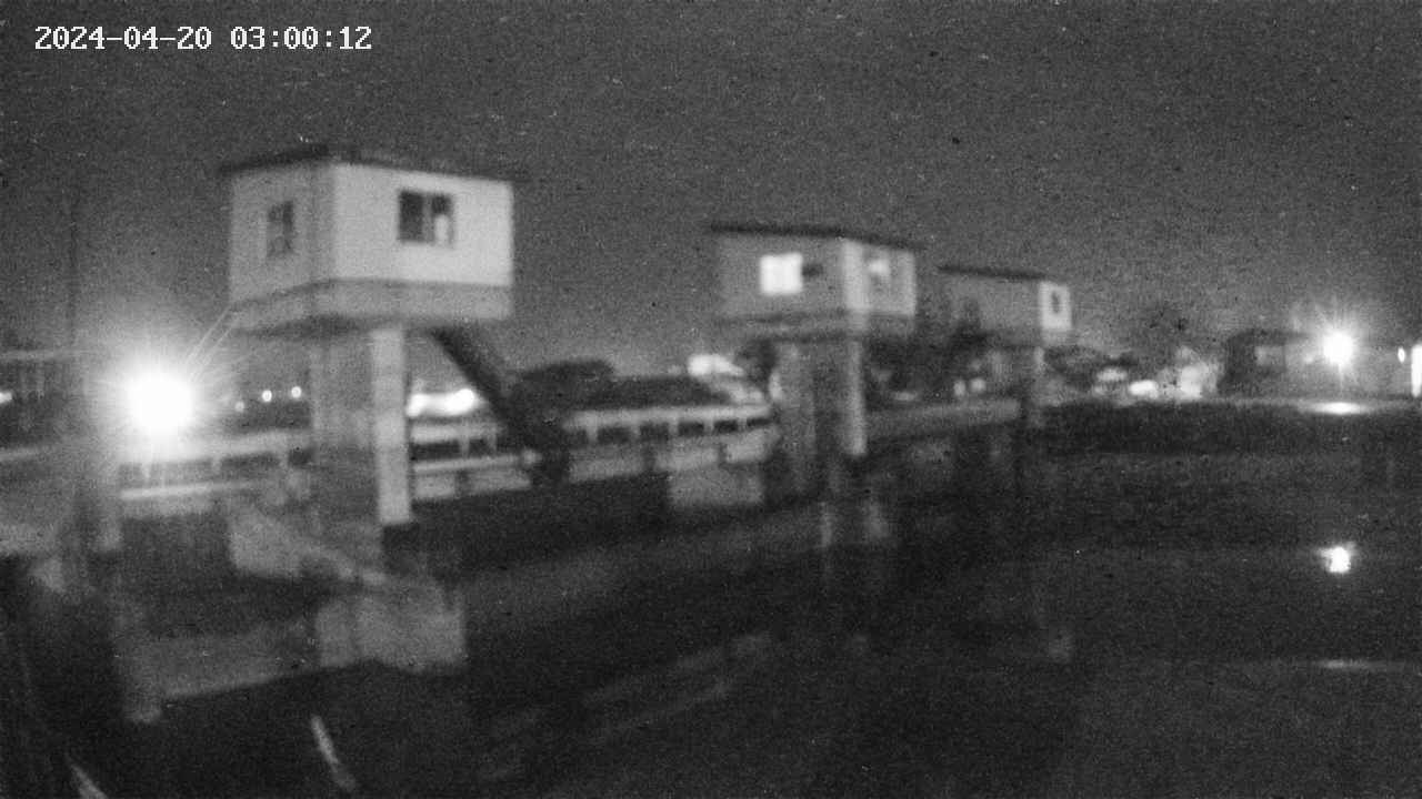 area1-20240420030013.jpg