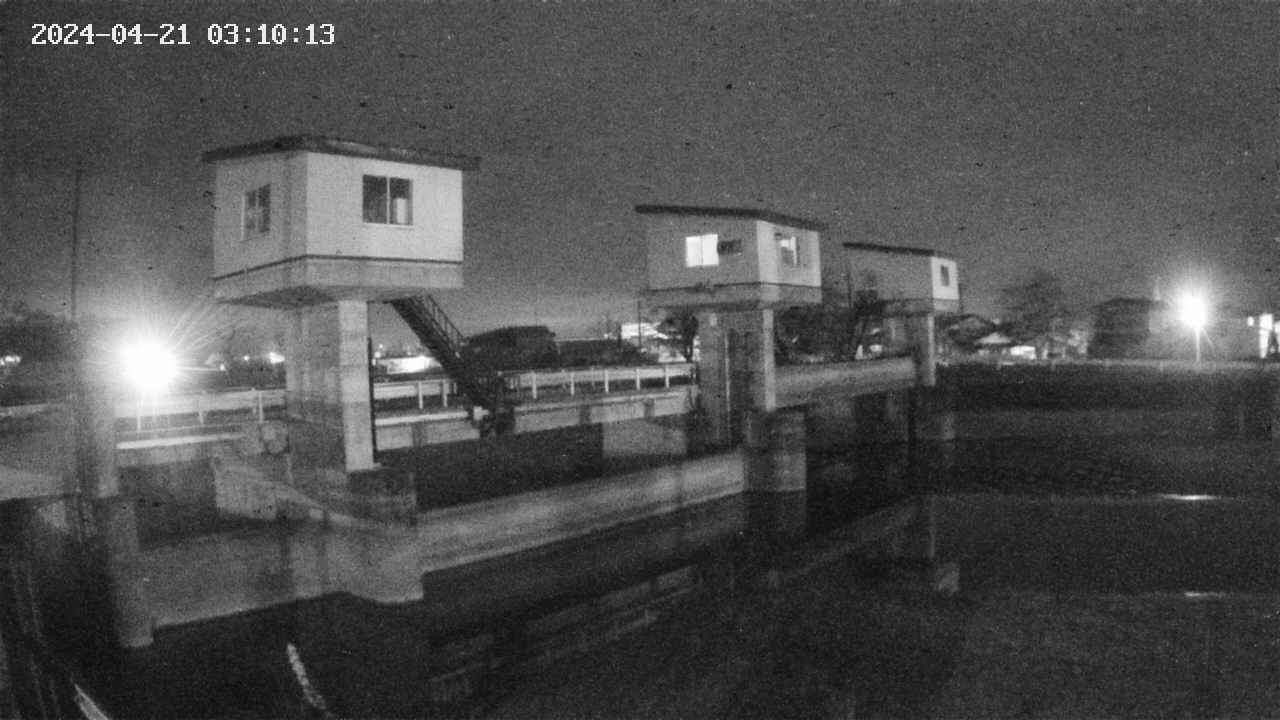 area1-20240421031013.jpg