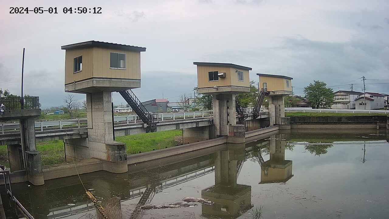 area1-20240501045012.jpg