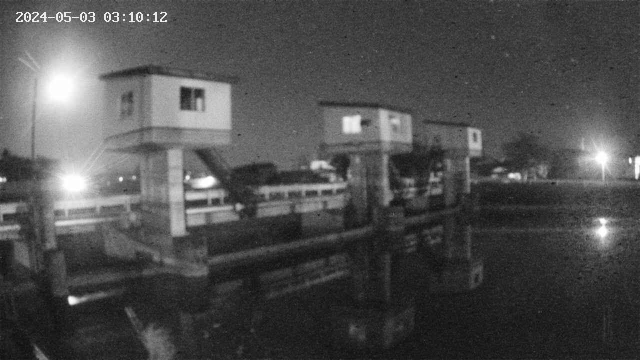 area1-20240503031013.jpg
