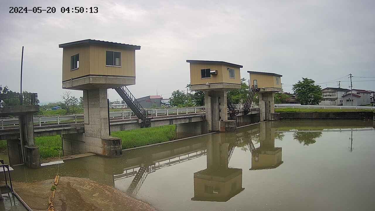 area1-20240520045014.jpg